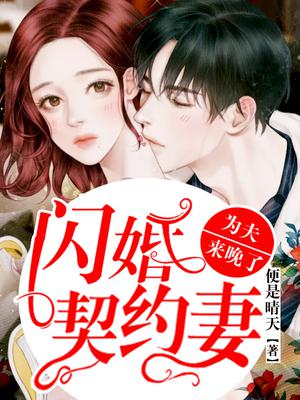 闪婚契约妻:为夫来晚了