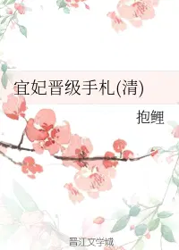 宜妃晋级手札（清）